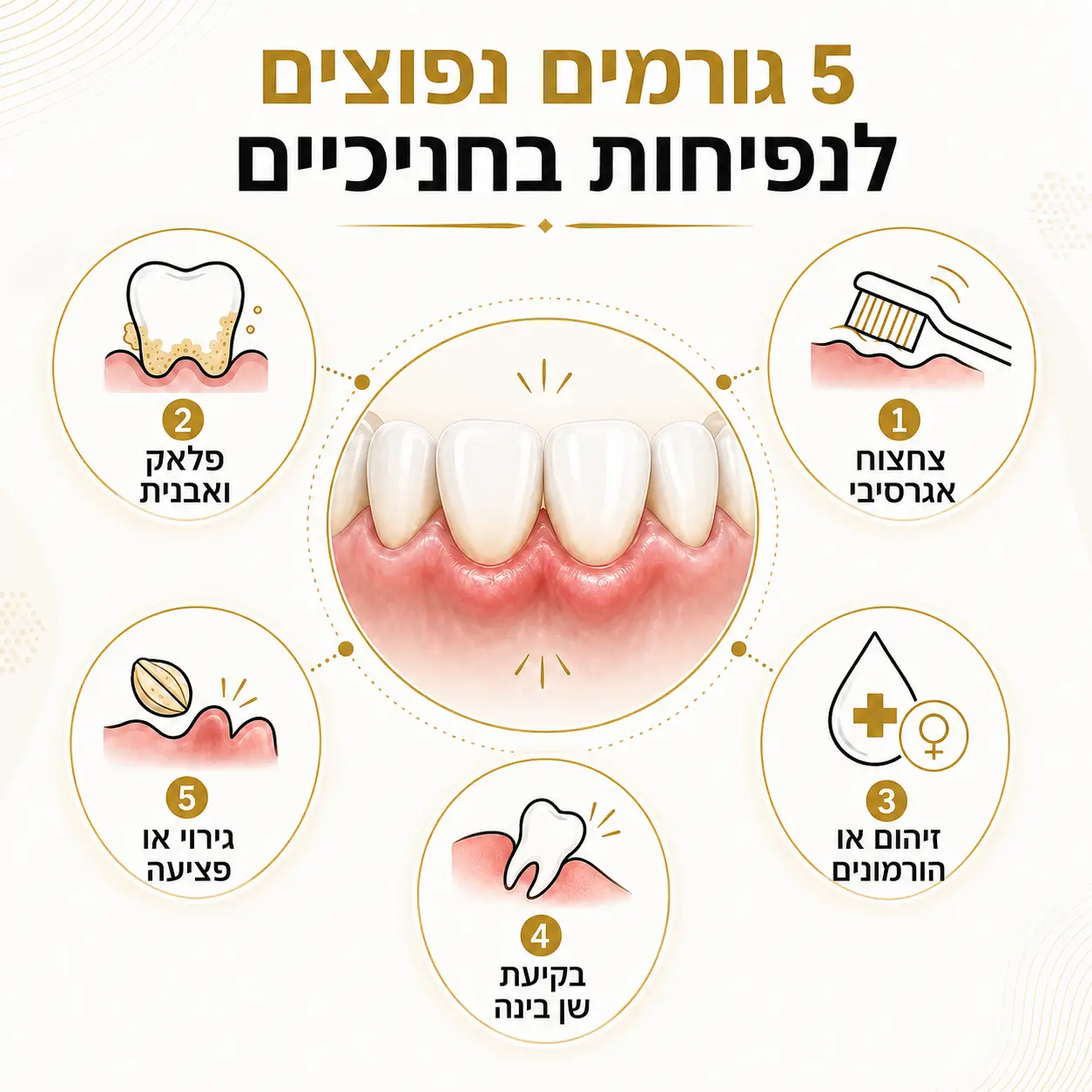 נפיחות בחניכיים | אינפוגרפיקה